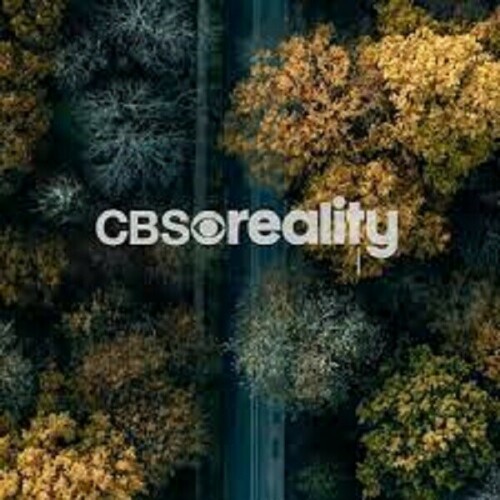CBS-Reality.jpeg