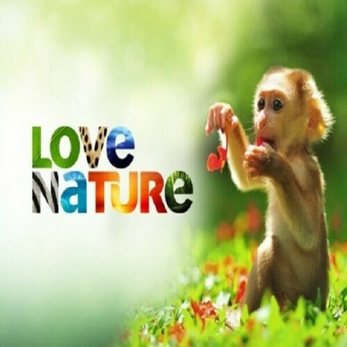 Love-Nature