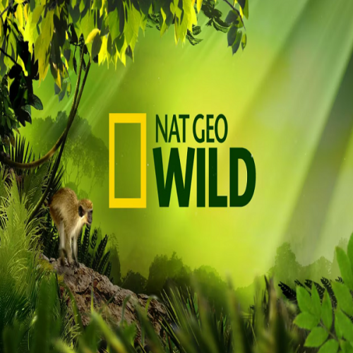 National-Geographic-Wild