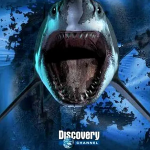 Discoverych.png