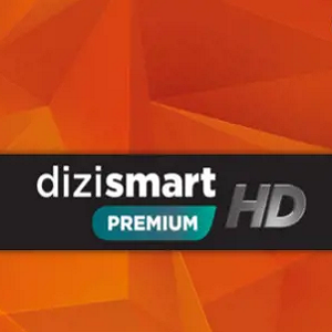 DiziSmart-Premium.png