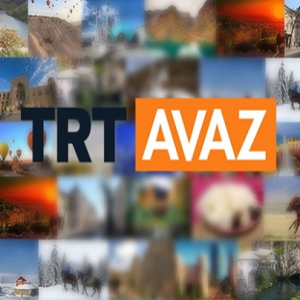 TRT-Avaz.png