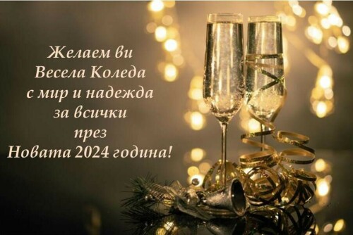 VESELAKOLEDA-2024-bg