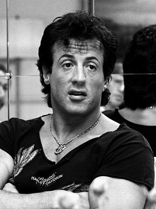 800px-Sylvester_Stallone.jpg