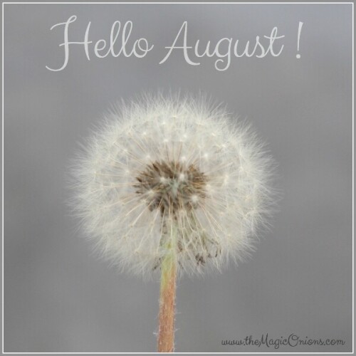 Hello August 6001