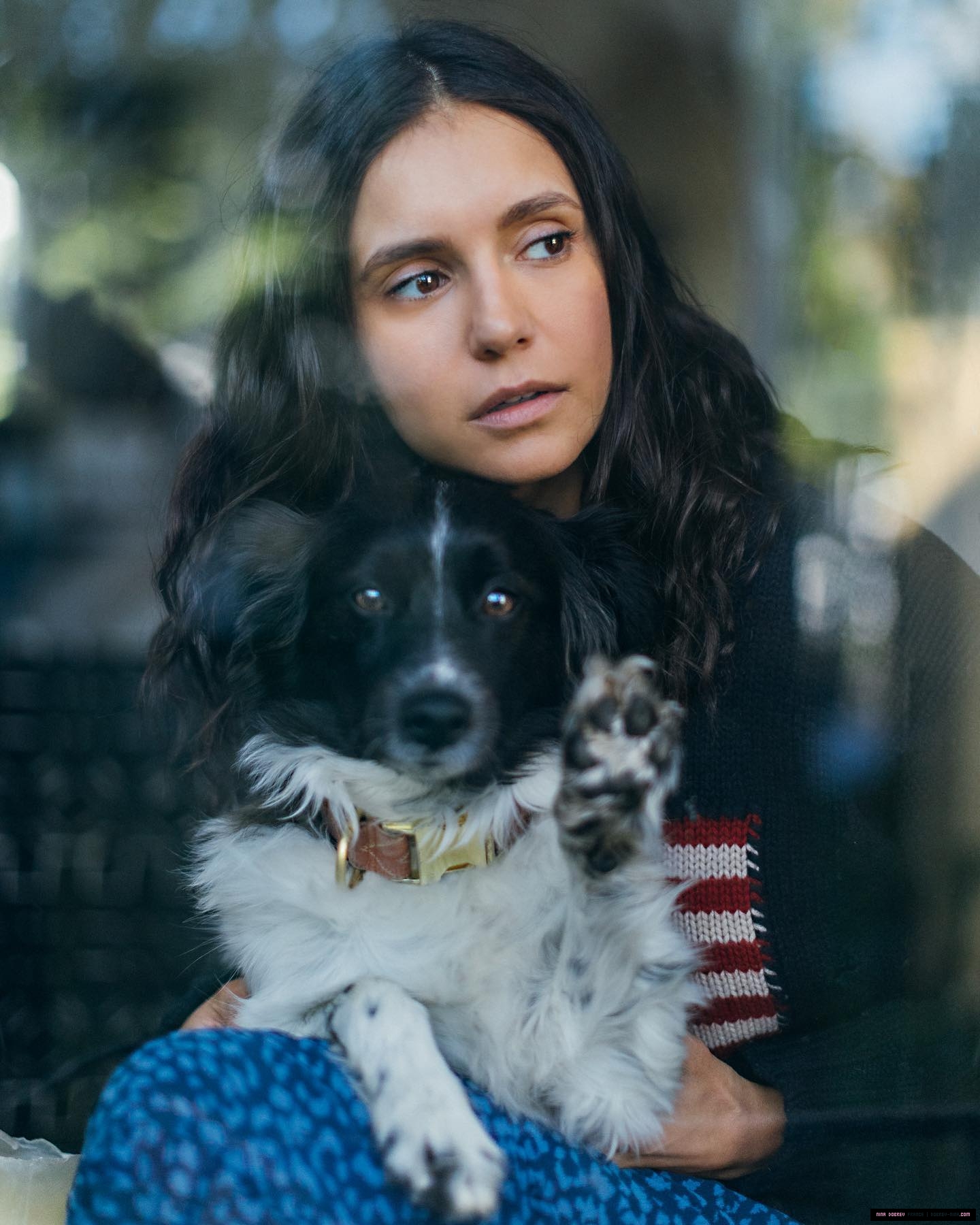 https://prikachi.net/images/2025/09/23/nina_dobrev_france00371.jpg